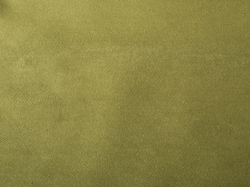 Antelope I 14641 - Olive