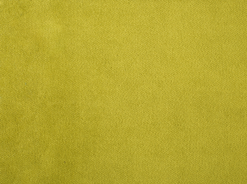 Antelope I 15181 - Kiwi