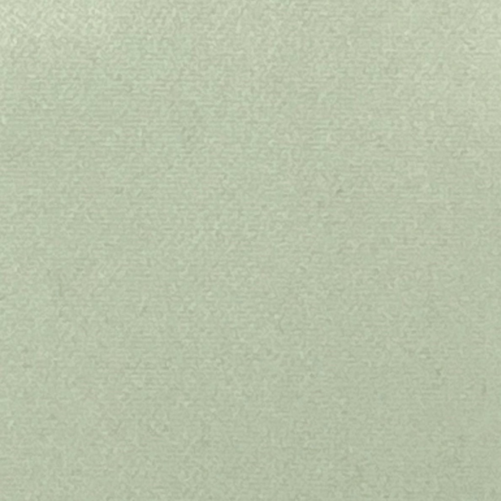 Antelope I 16291 - Vert Clair